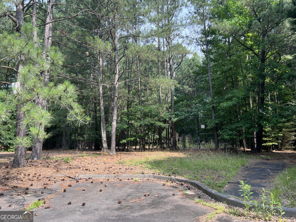 3708 Sharon Run Property Photo 3
