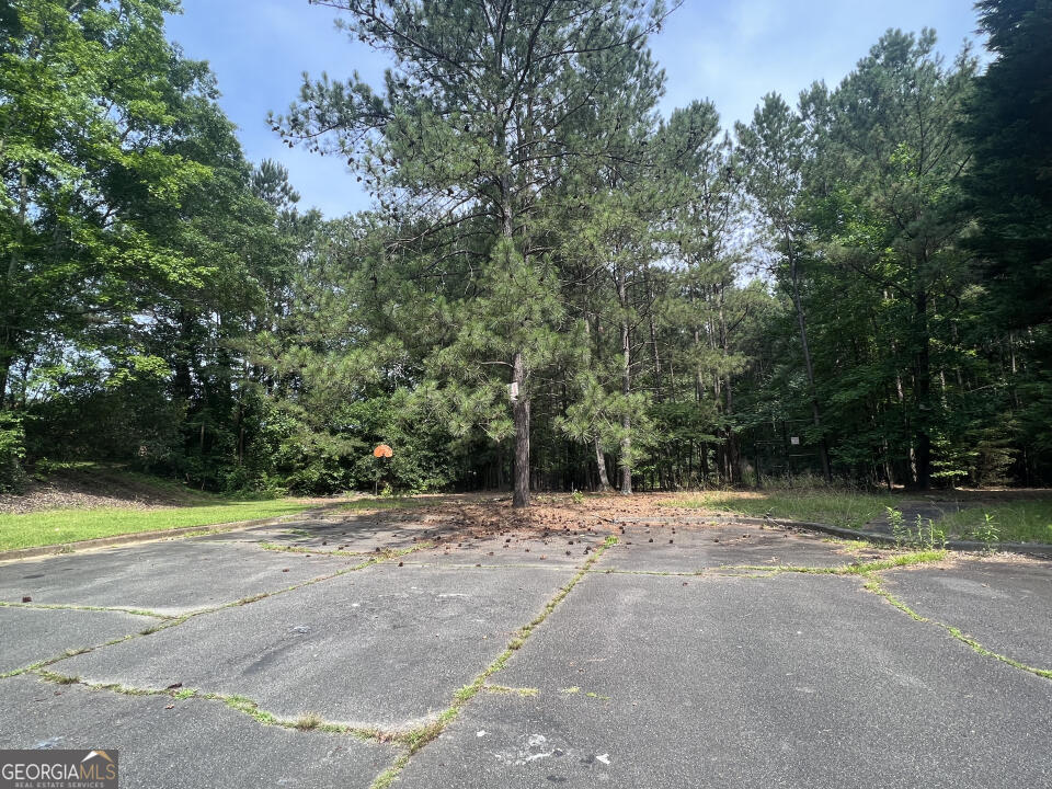 3708 Sharon Run Property Photo 4