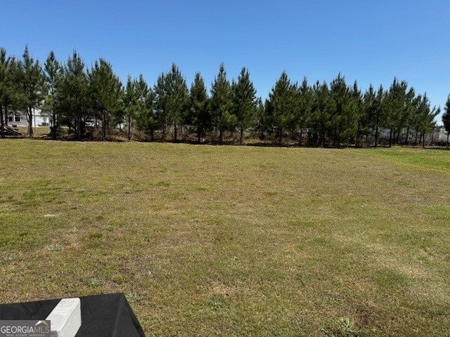 313 Providence Trce Lot 174 Property Photo 54