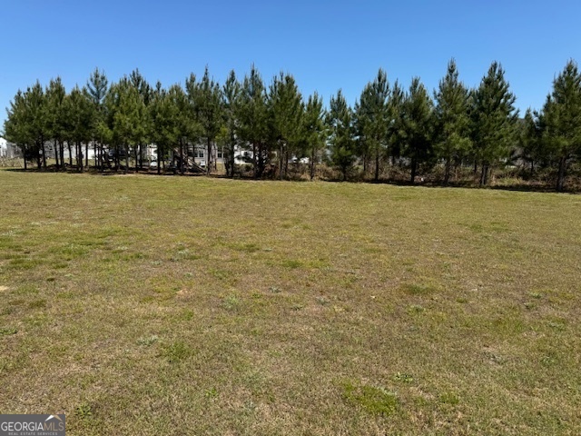 313 Providence Trce Lot 174 Property Photo 55