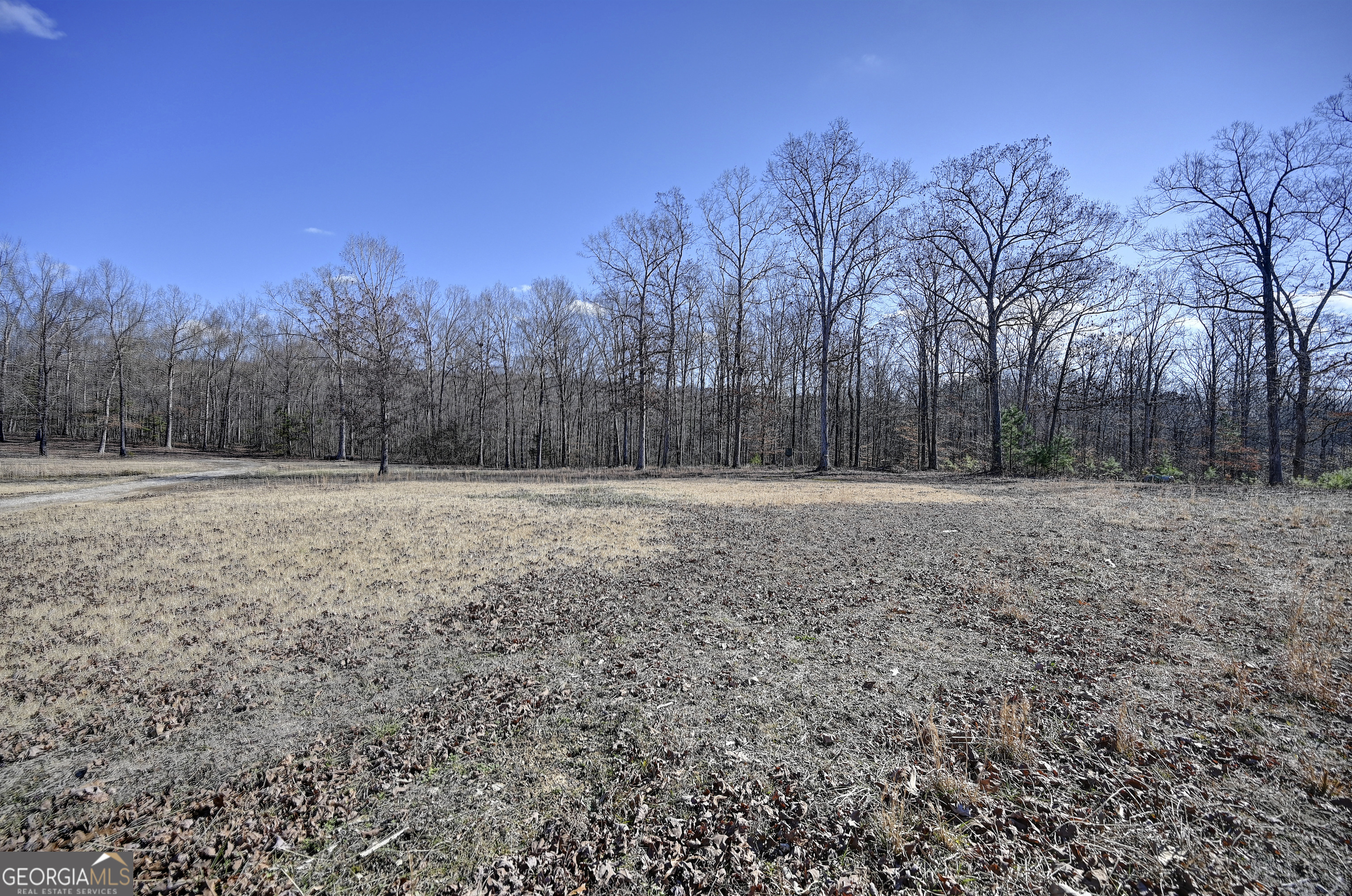 260 Lovers Lane Ne Property Photo 36