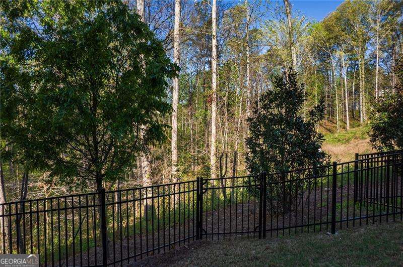 518 Scenic Pass Property Photo 42