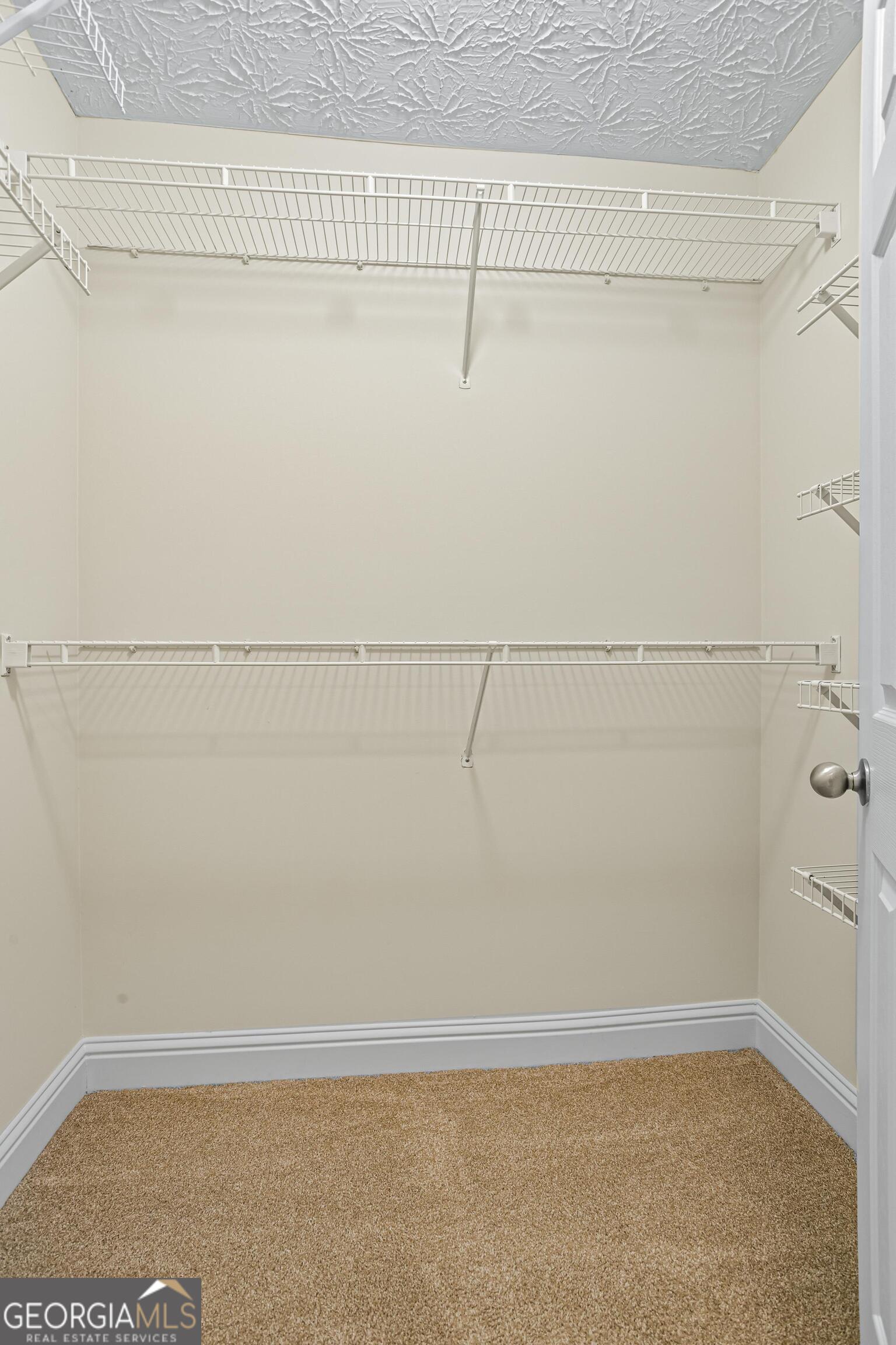 1213 Blue Springs Drive Property Photo 22