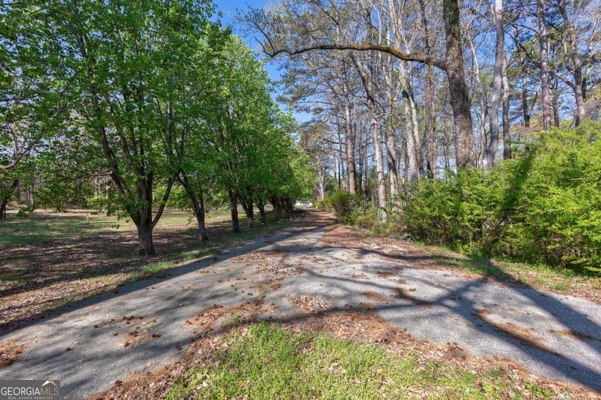 8986 Highway 29 S Property Photo 9