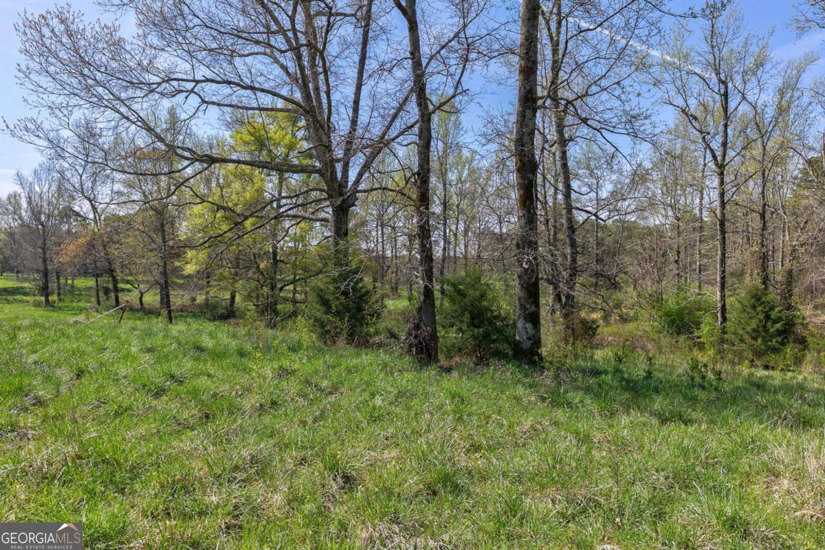 8986 Highway 29 S Property Photo 18