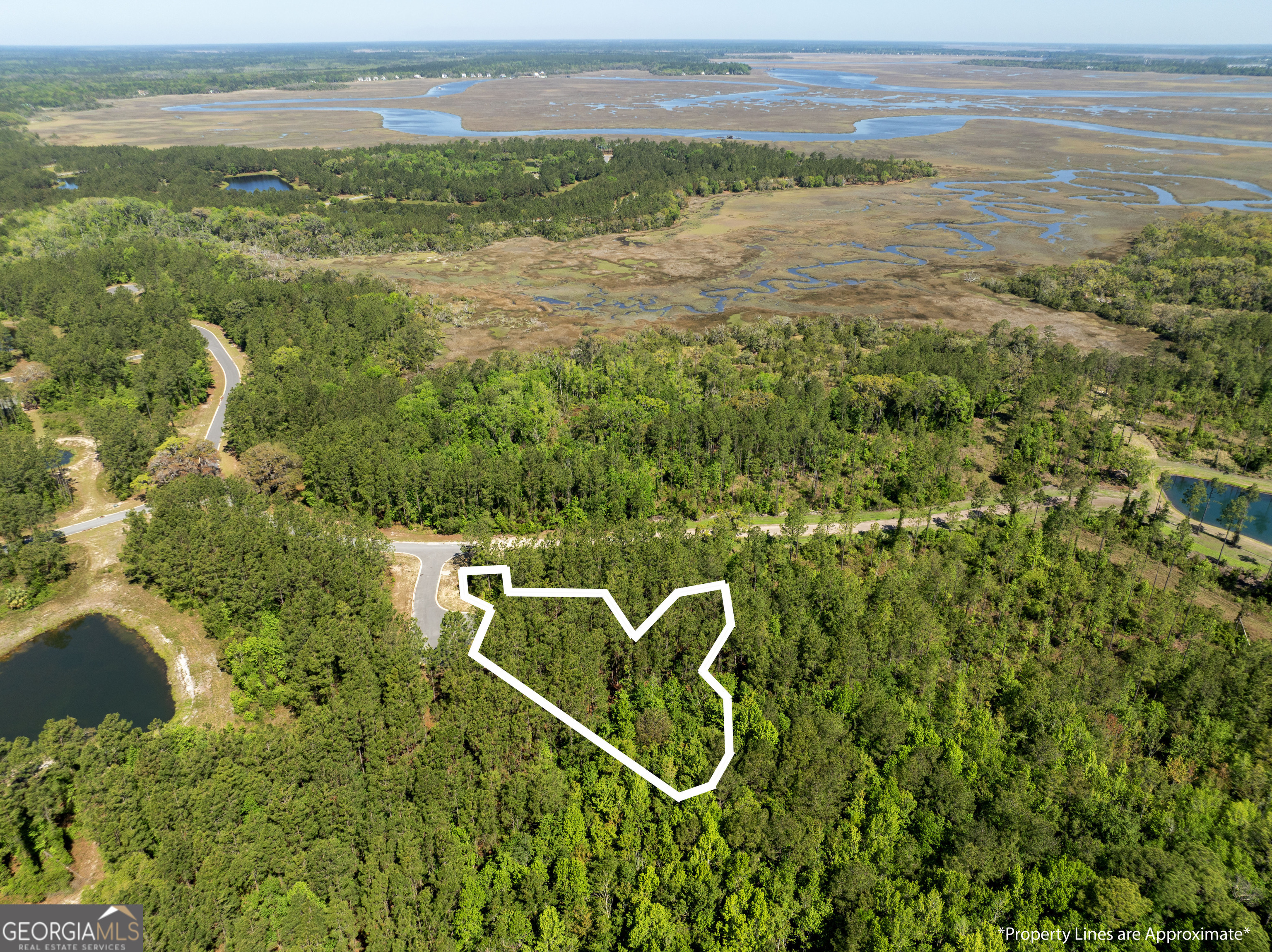 Lot 221 Clam Creek Property Photo 2