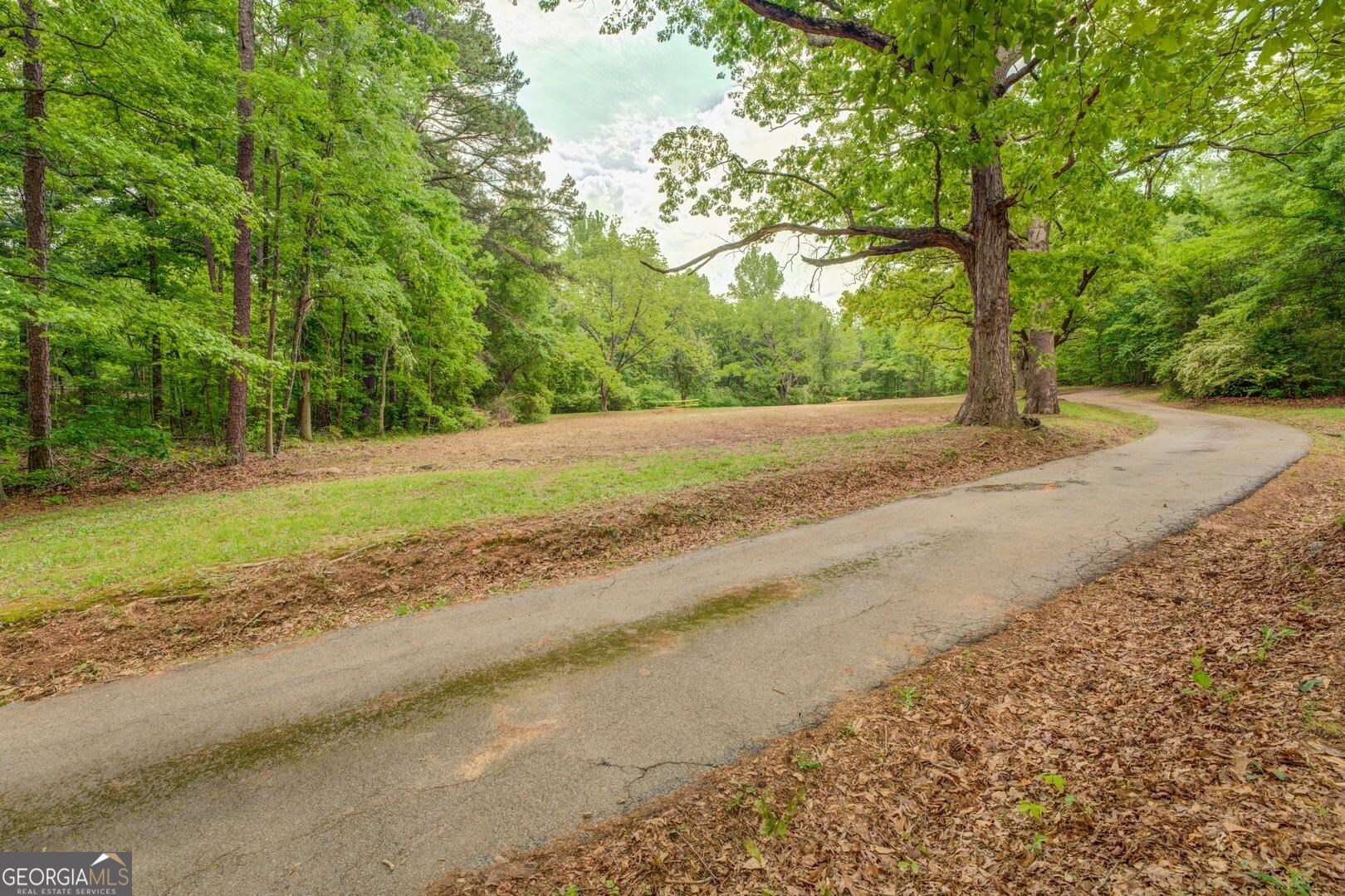 451 Highway 162 Property Photo 10