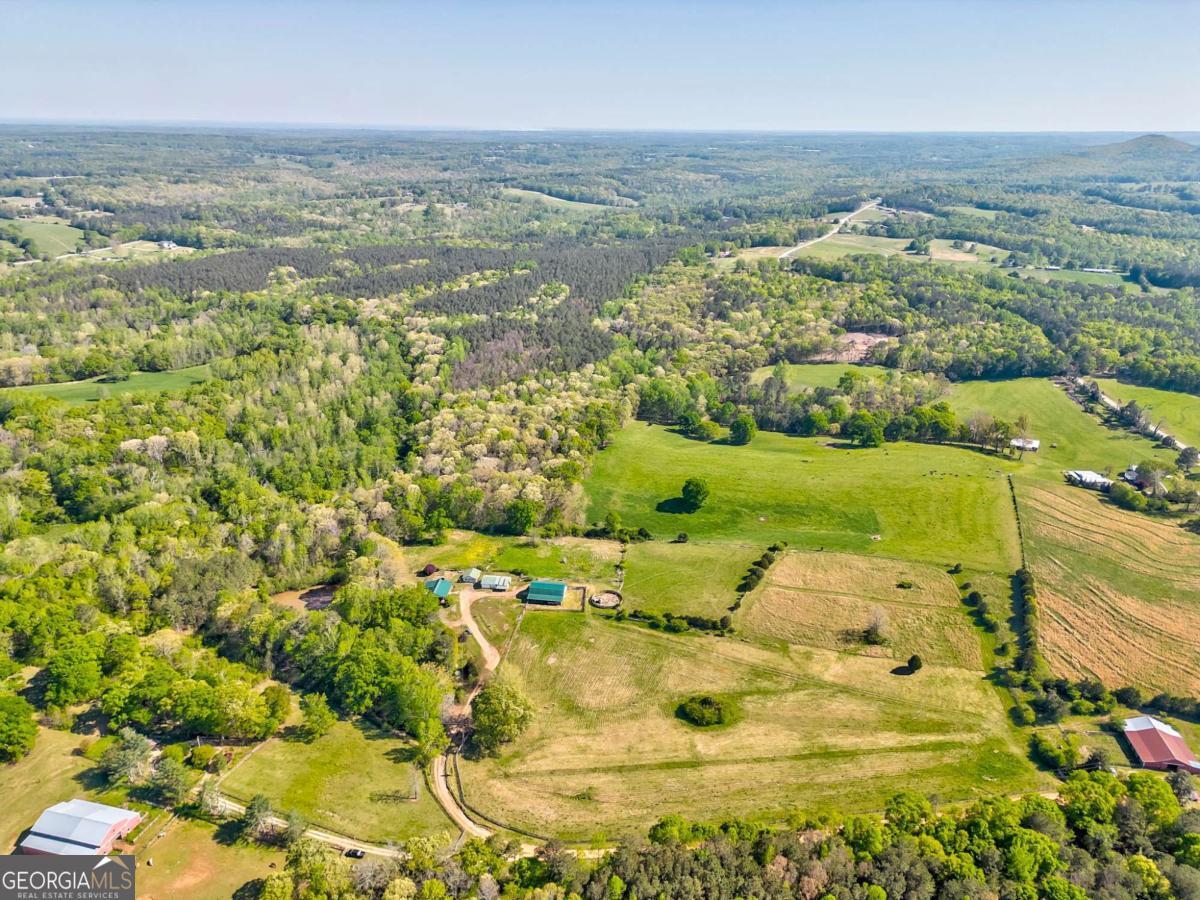 1288 Reavesville Road Property Photo 11