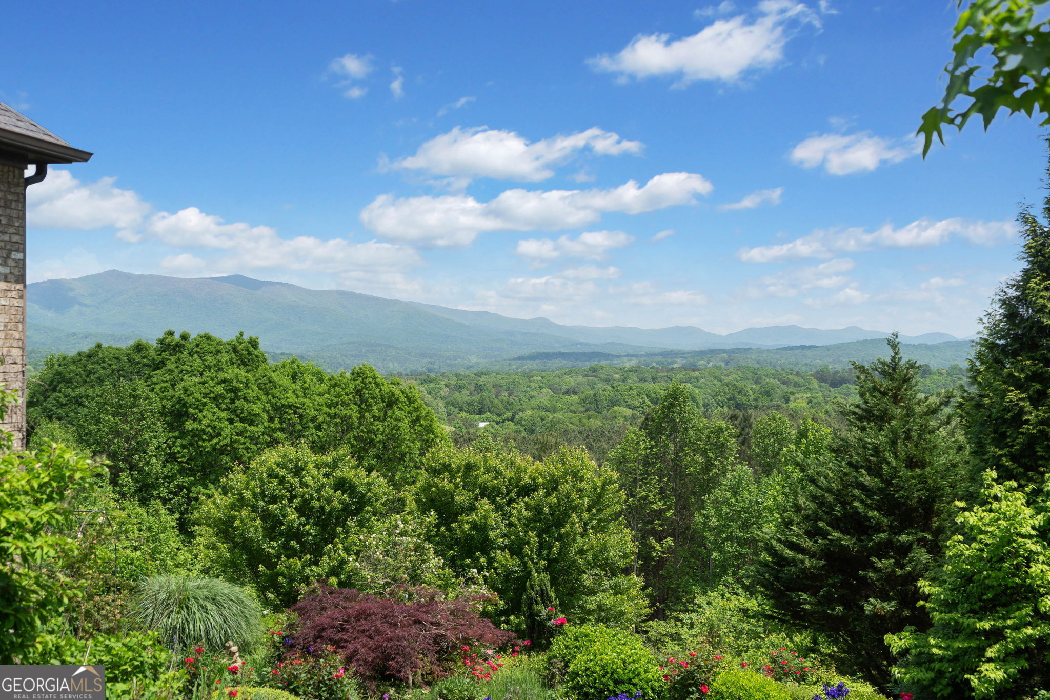 100 Fox Paw Leaf Court Property Photo 3