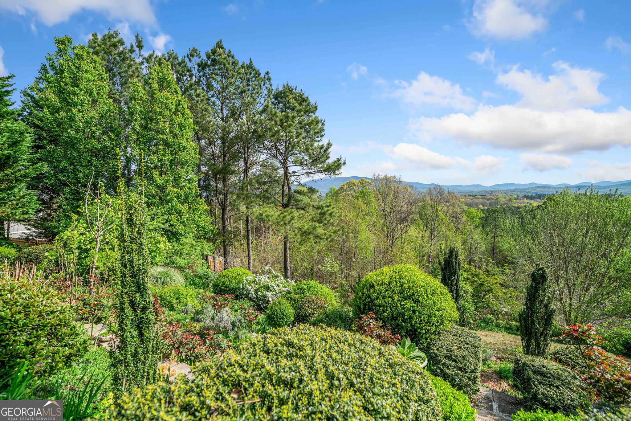 100 Fox Paw Leaf Court Property Photo 4