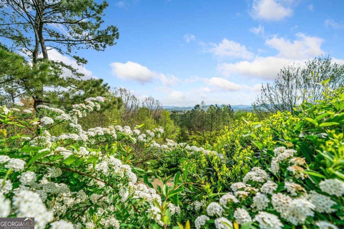 100 Fox Paw Leaf Court Property Photo 40
