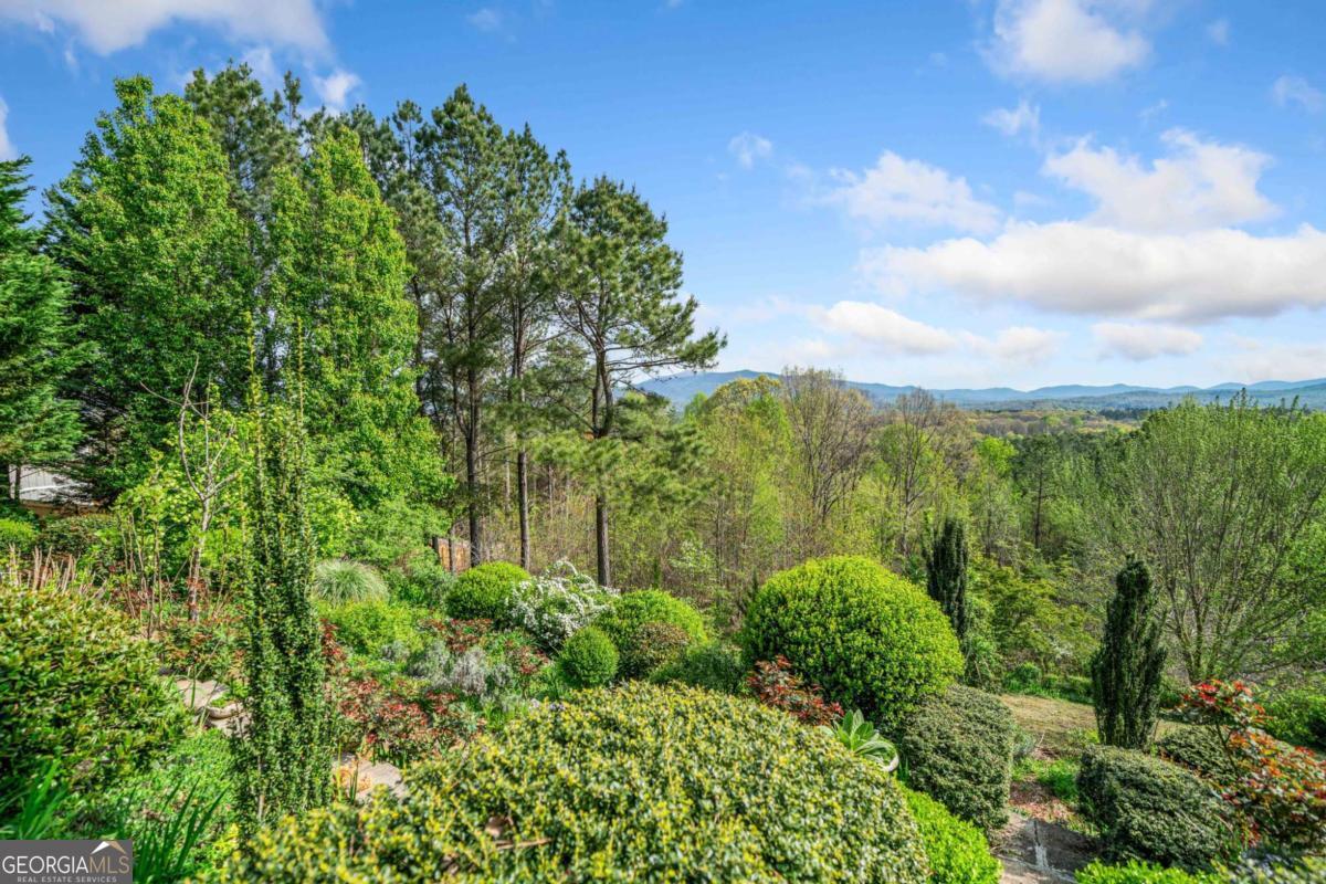 100 Fox Paw Leaf Court Property Photo 41
