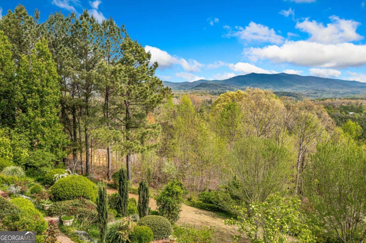 100 Fox Paw Leaf Court Property Photo 42