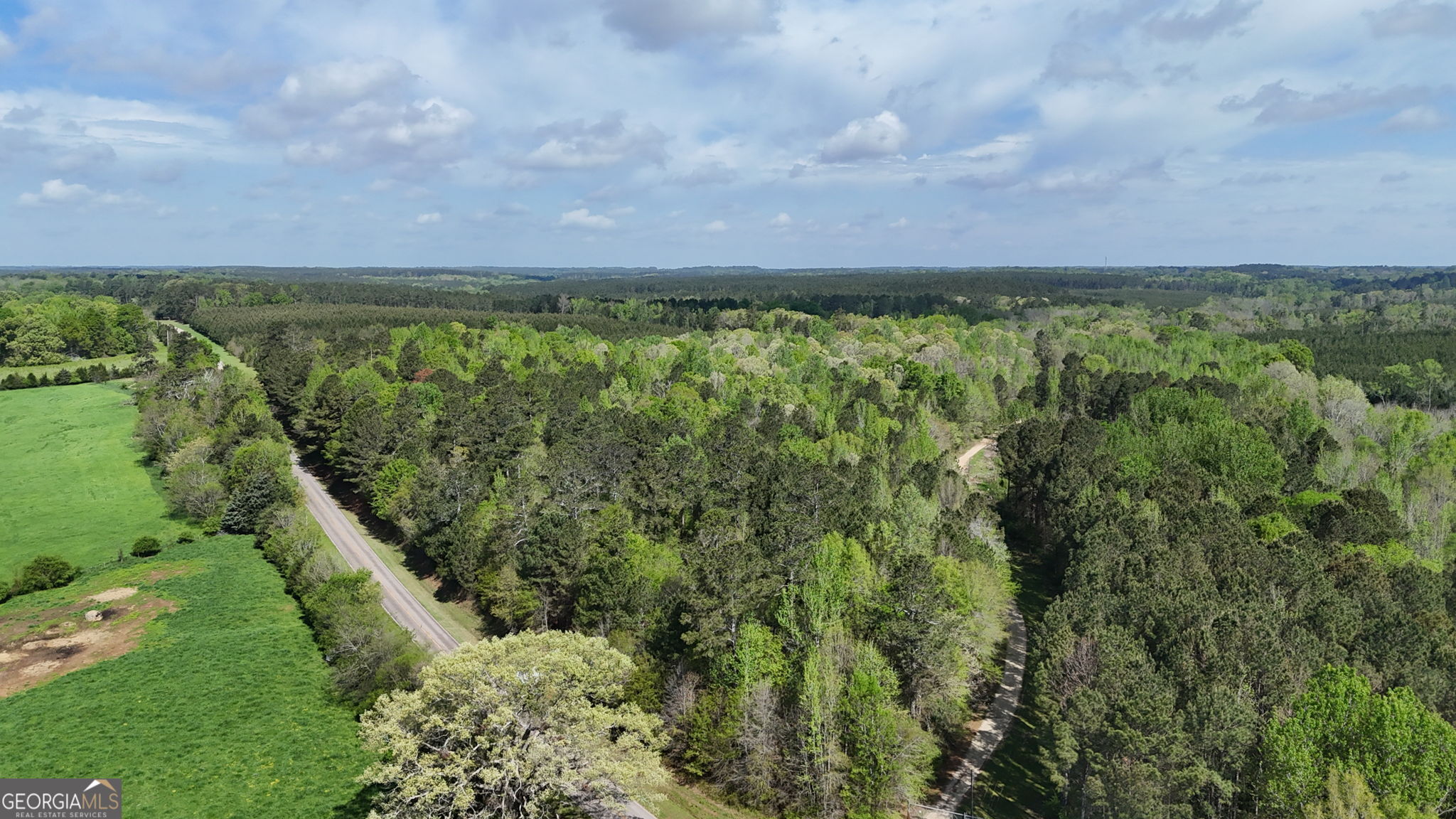 0 Skull Shoals Road Property Photo 1