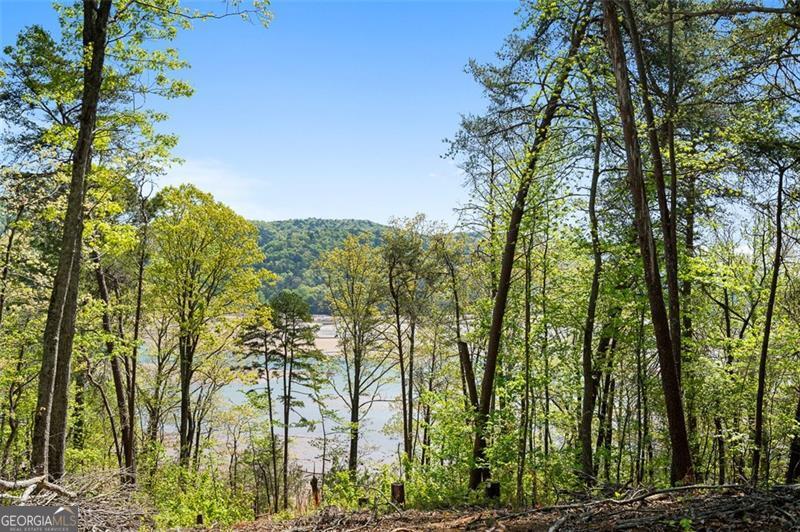 9668 Old Highway 411 Property Photo 46