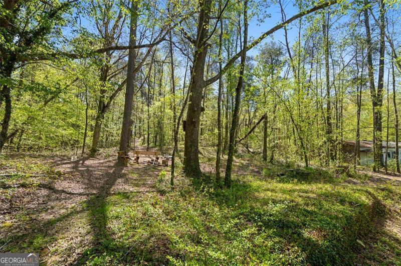 9668 Old Highway 411 Property Photo 49