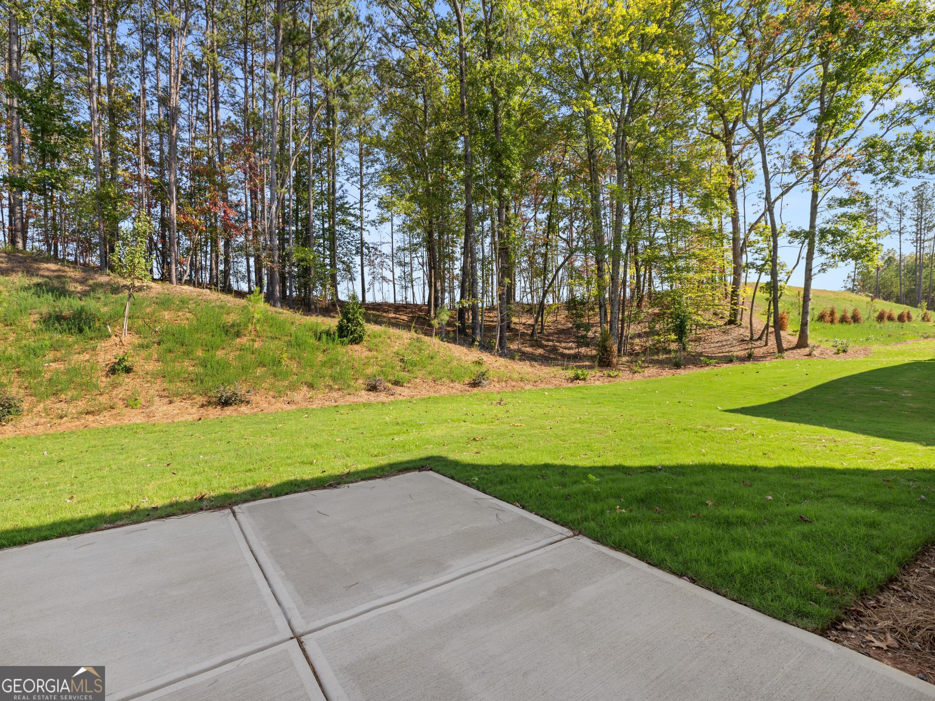 73 Grove Springs Court Property Photo 13