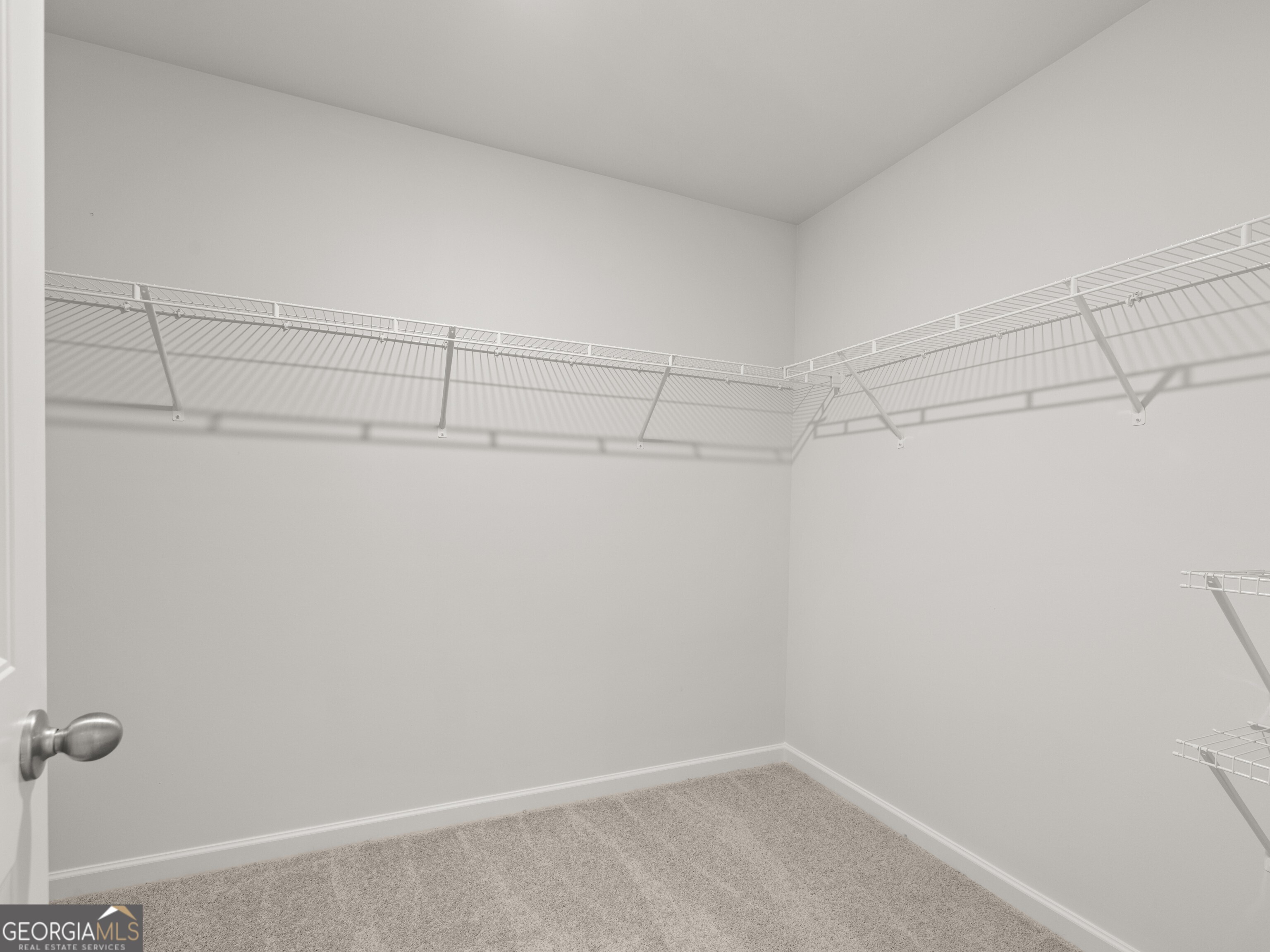 73 Grove Springs Court Property Photo 19
