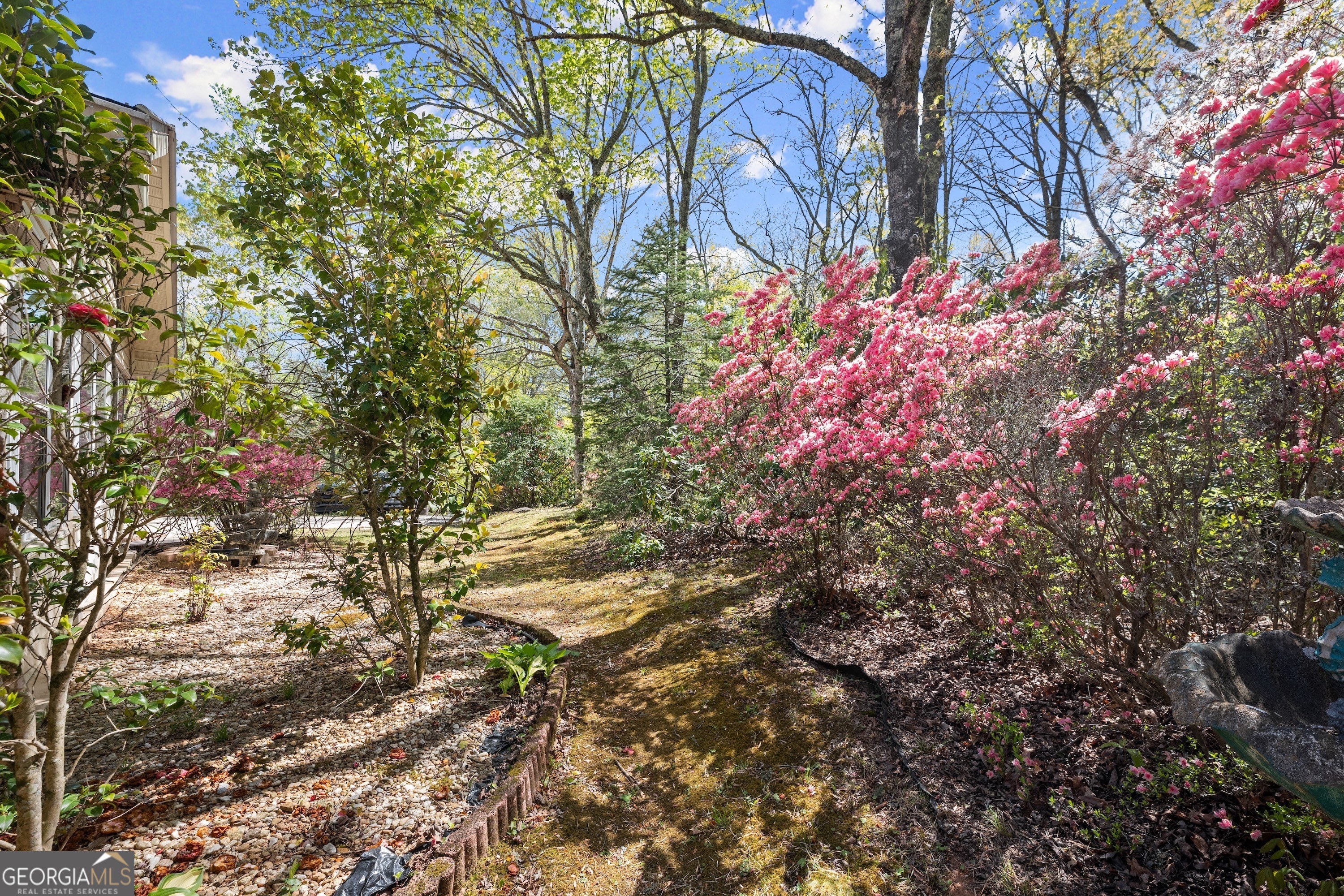 961 Robert Jarrard Road Property Photo 6