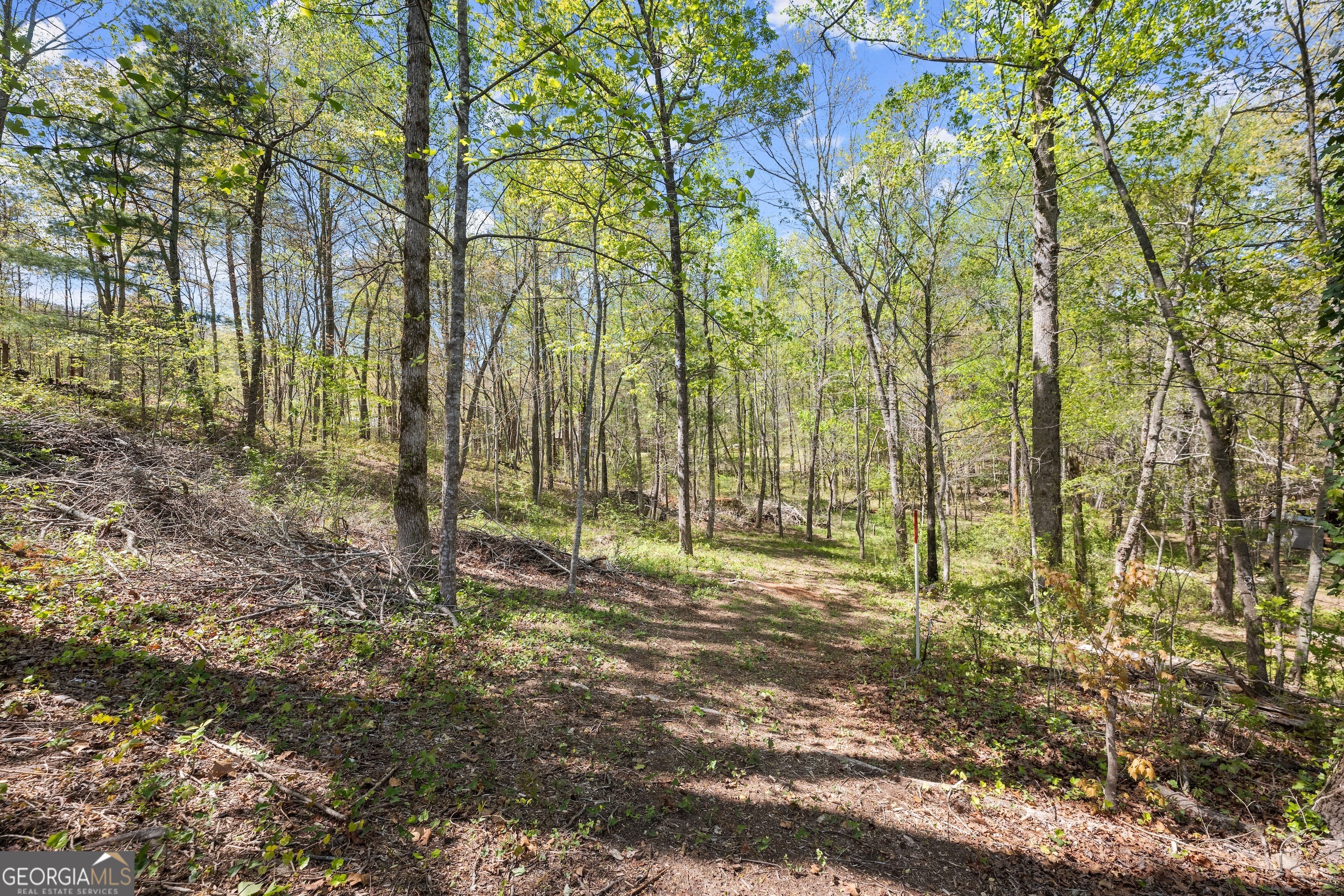 961 Robert Jarrard Road Property Photo 54