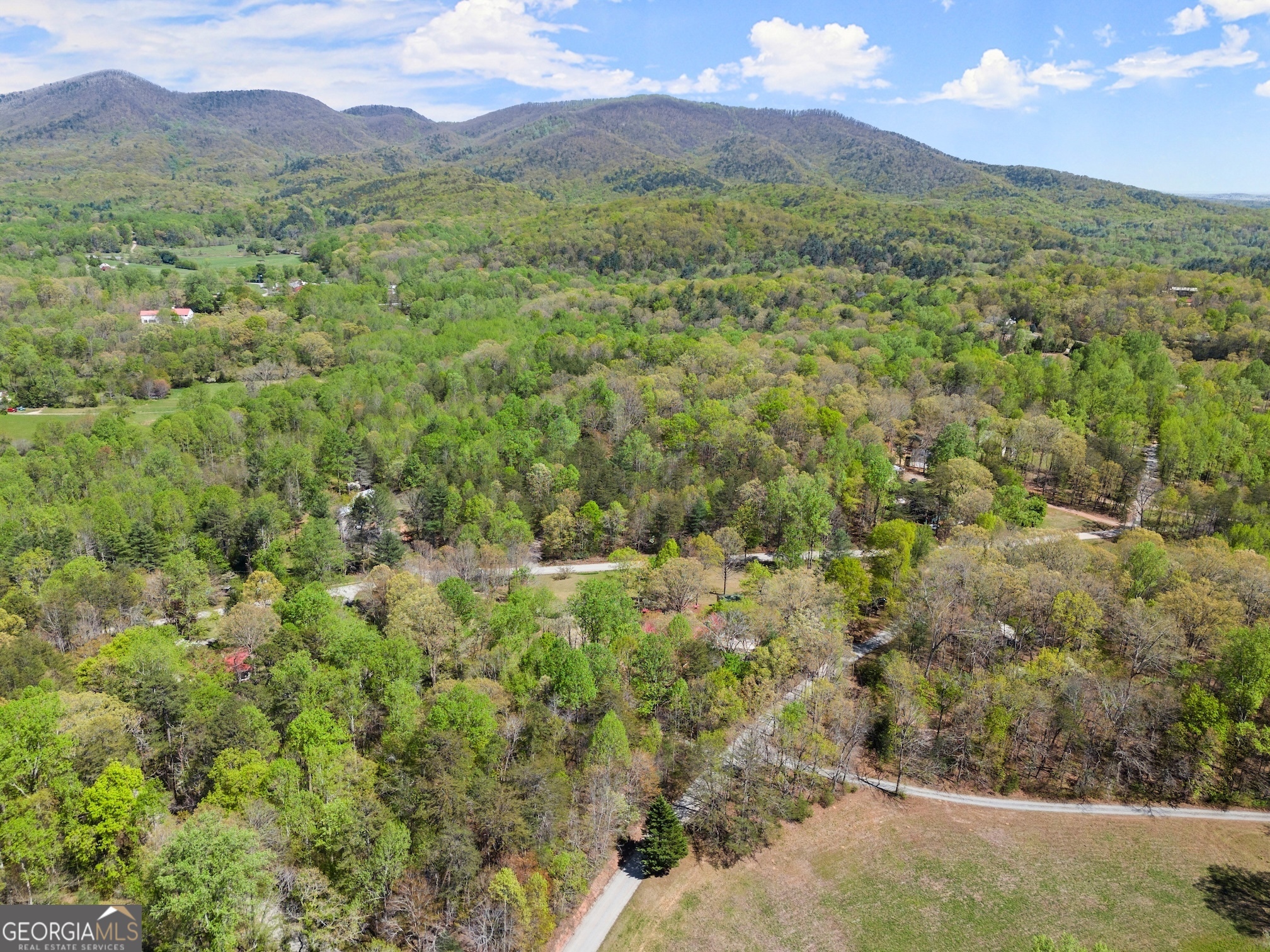 961 Robert Jarrard Road Property Photo 62