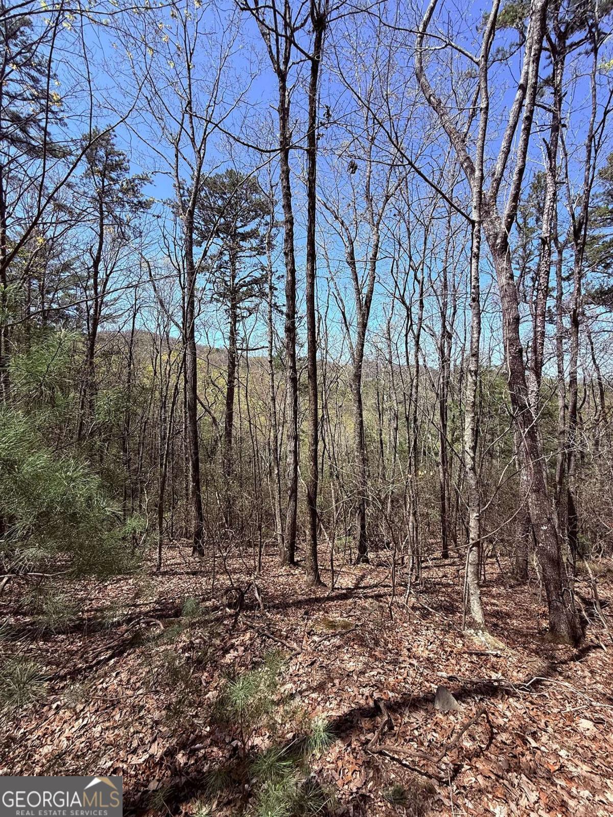 Lot 751 Morton Drive Property Photo 1
