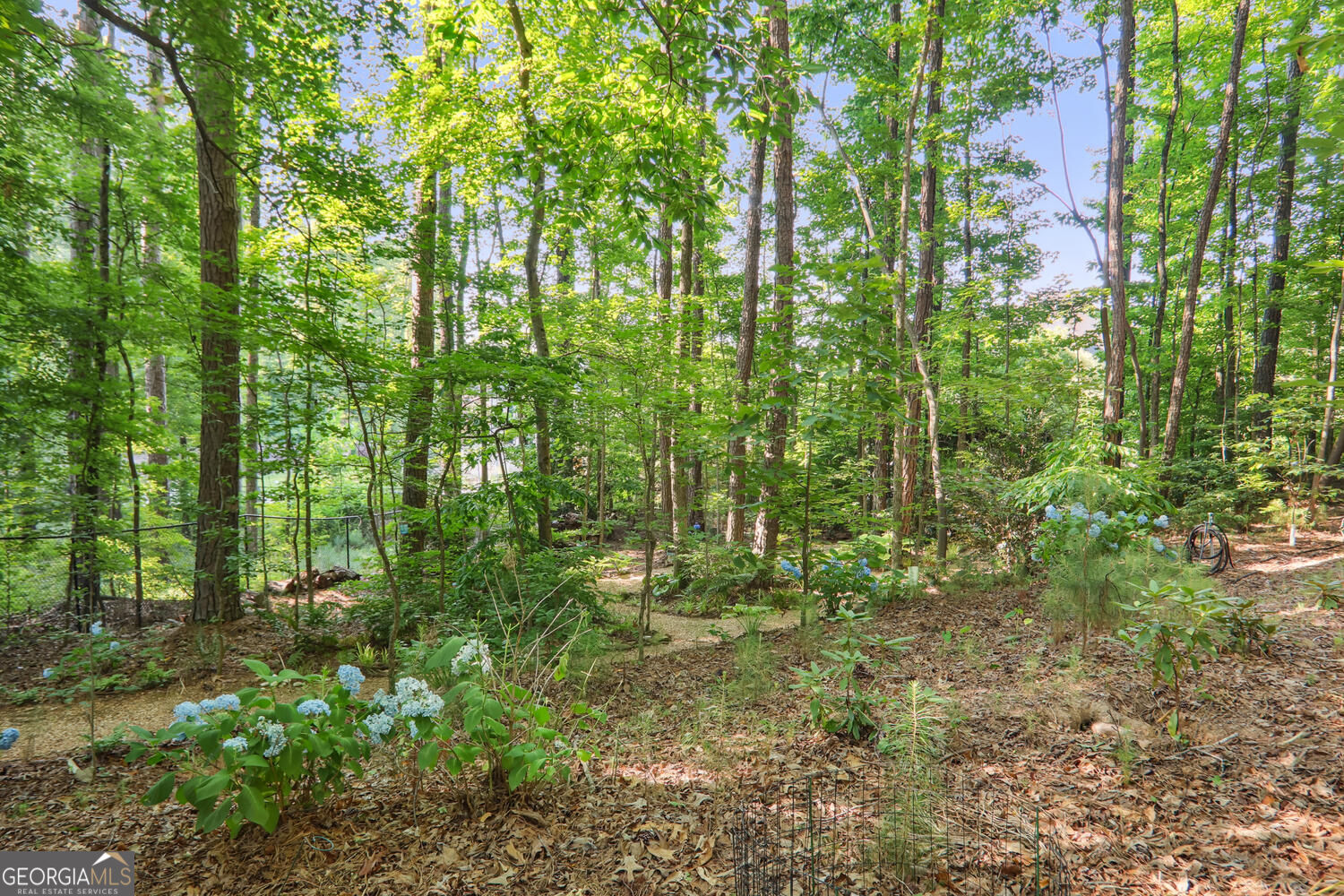 3704 Wilkins Circle Property Photo 47
