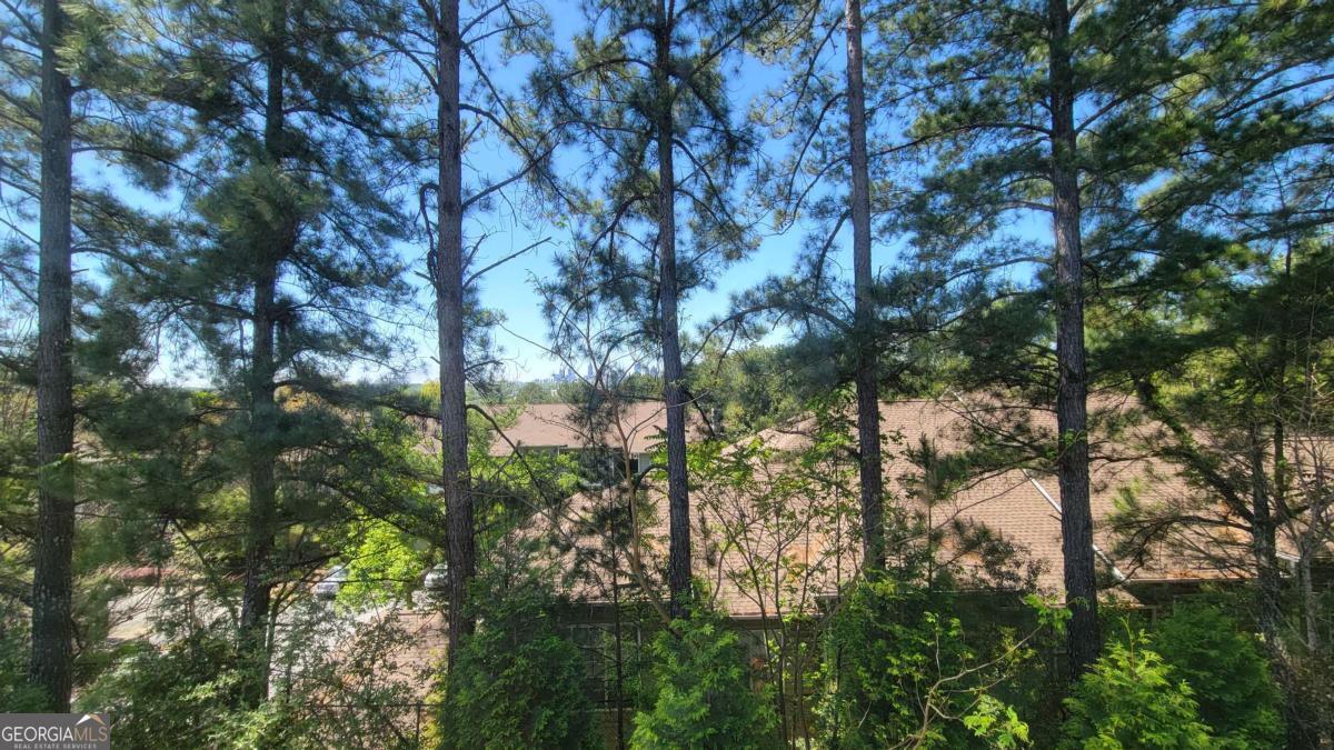 823 Canterbury Overlook Property Photo 38