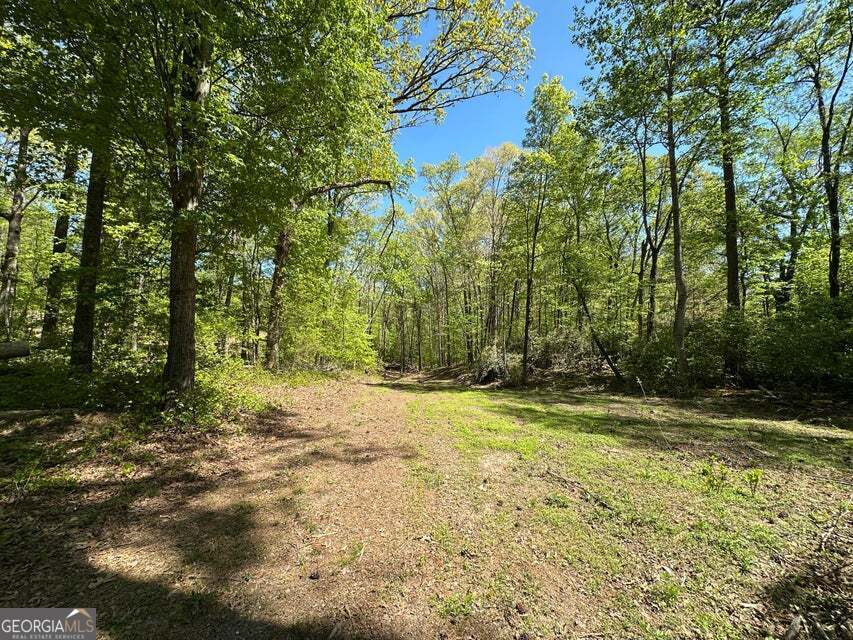 841 Bradley Avenue Property Photo