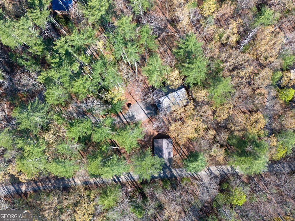 250 Chinkapin Drive Property Photo 36