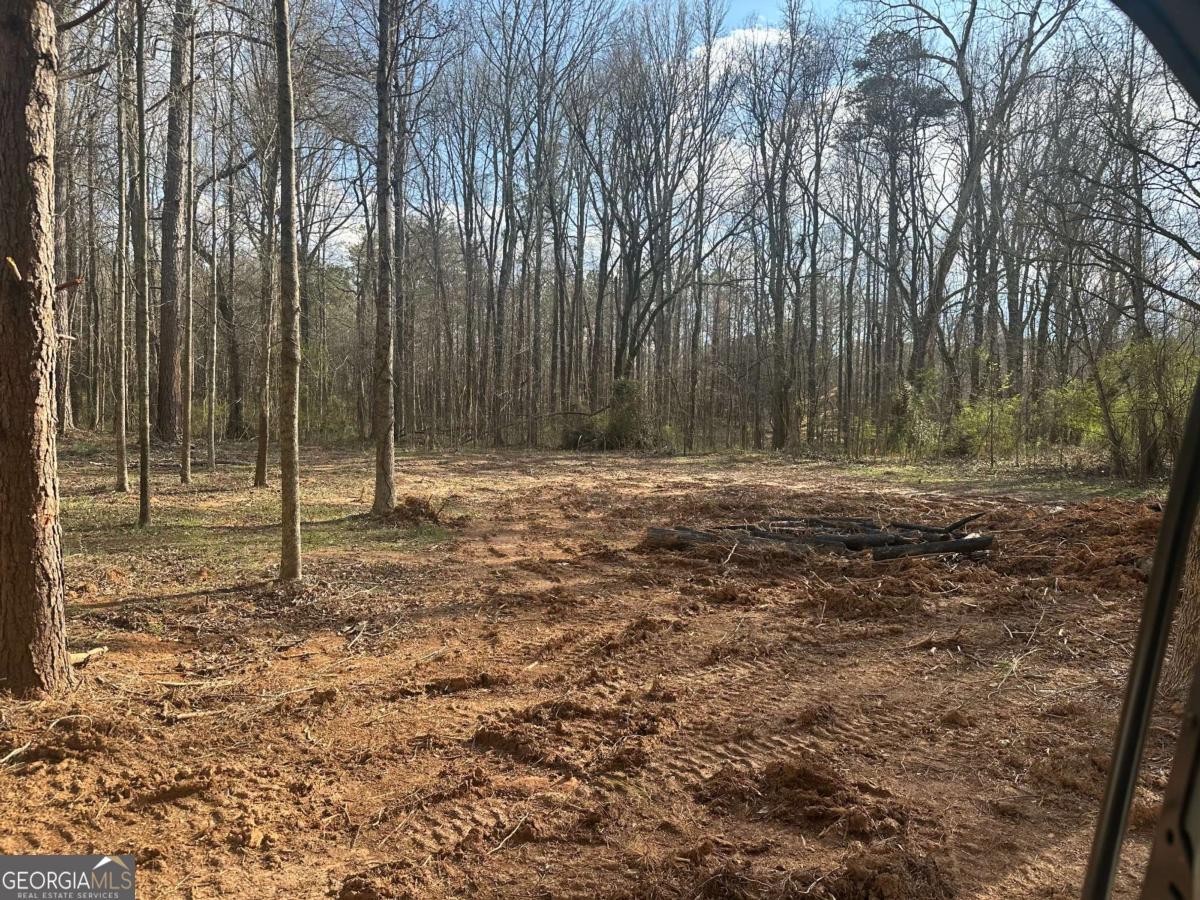 1451 Cook Road Property Photo 1