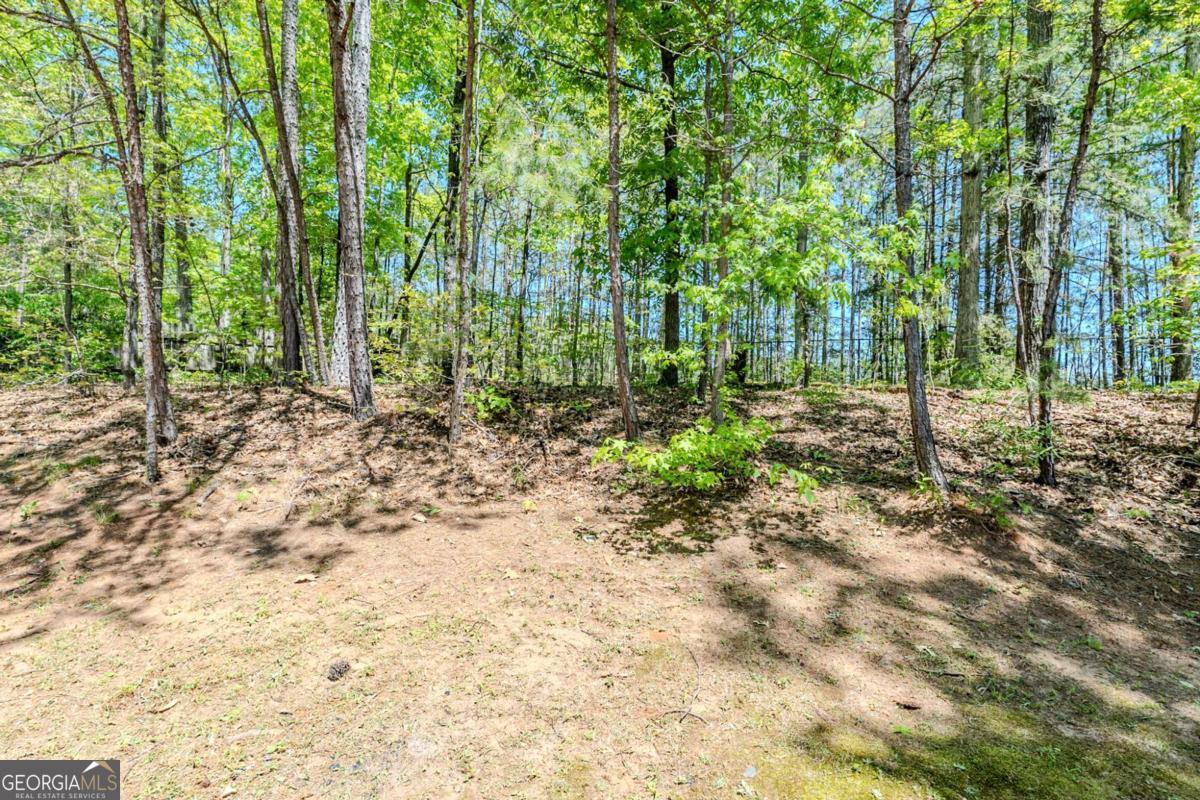 1665 Dunbarton Drive Property Photo 22