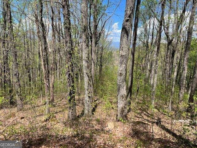 Lot 86 Rocky Knob Estate Property Photo 1