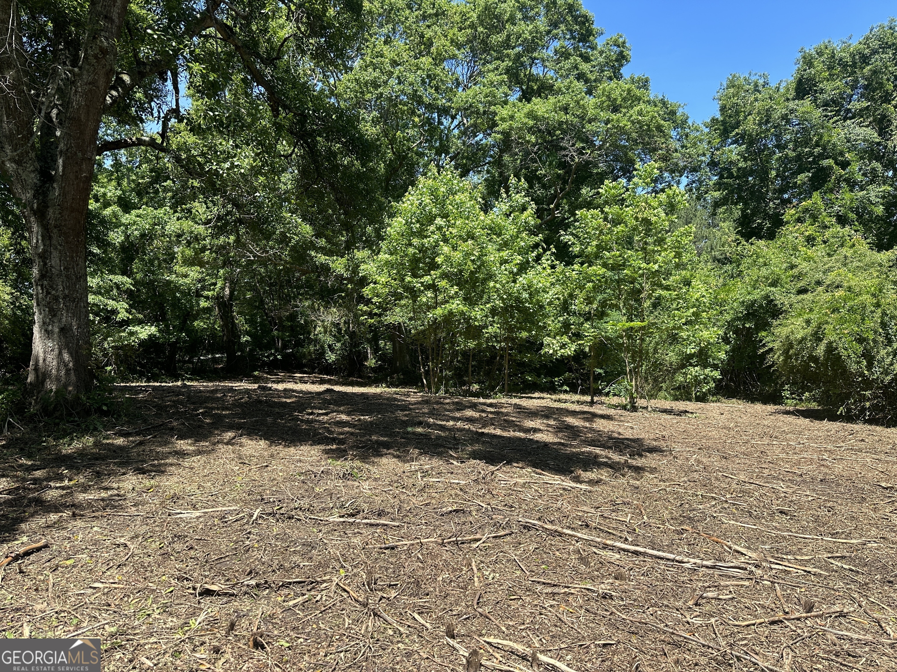 131 River Cove Road Property Photo 10