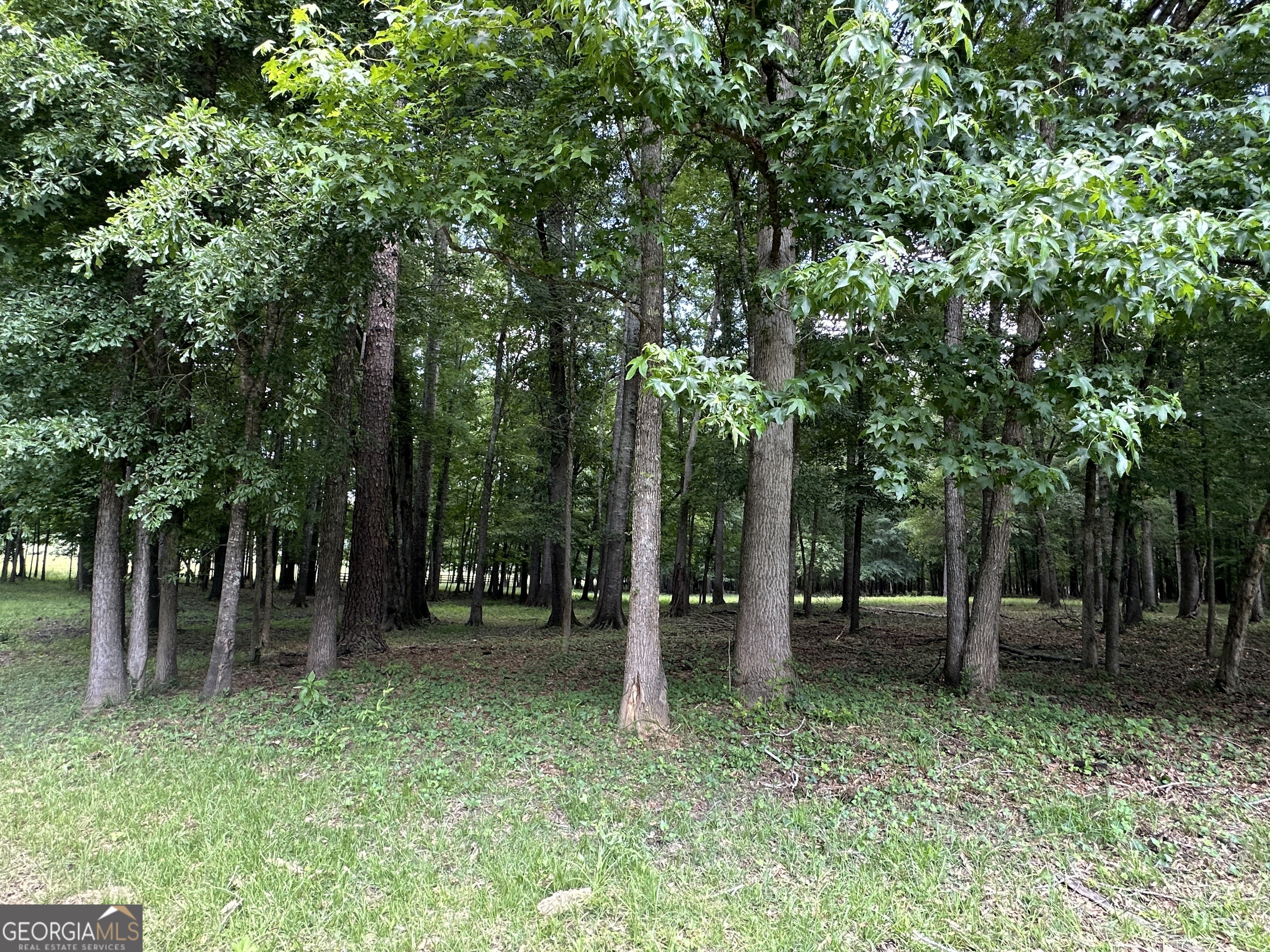131 River Cove Road Property Photo 18