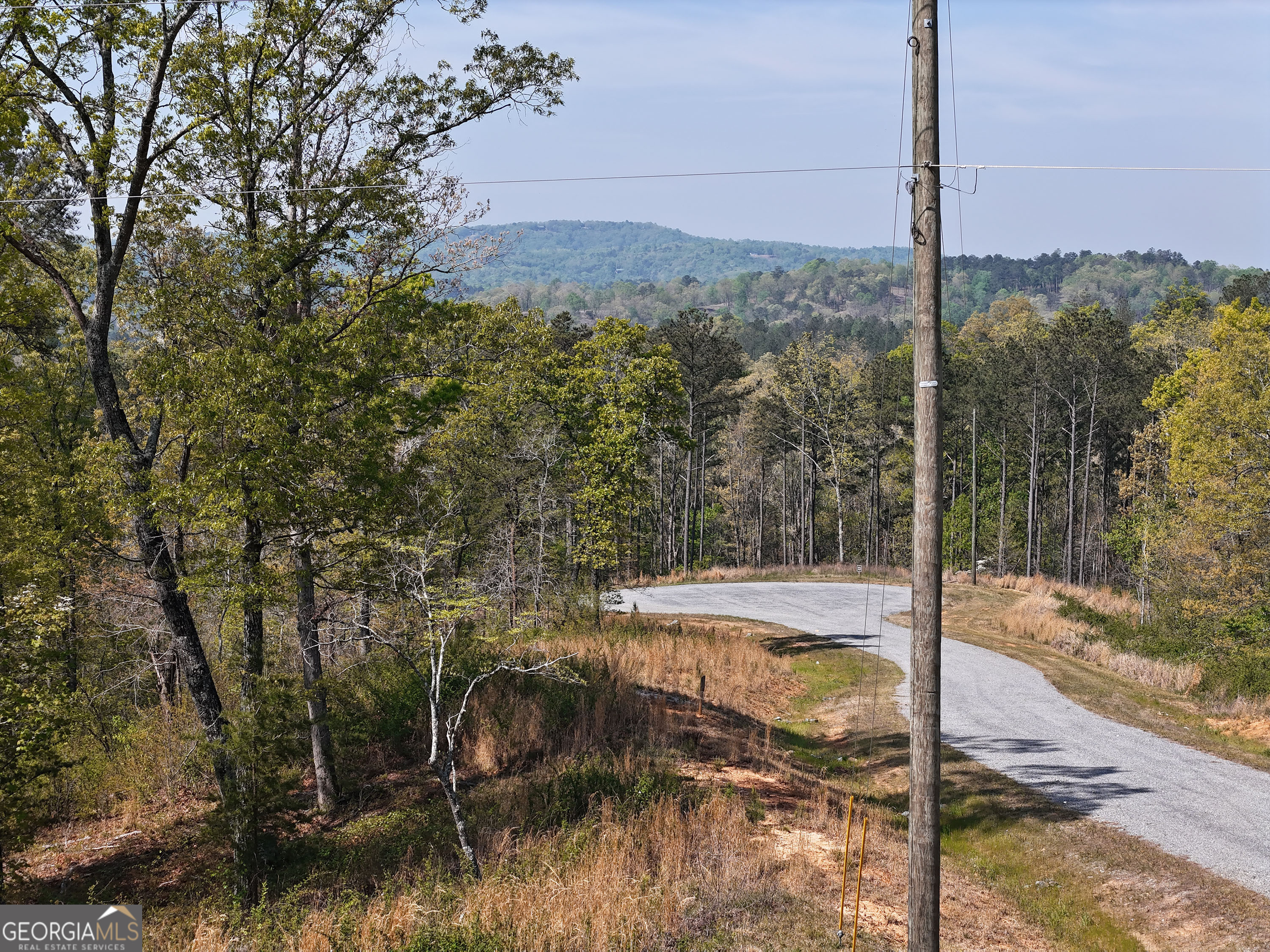 Lt 20 Blalock Mountain Road Property Photo 1