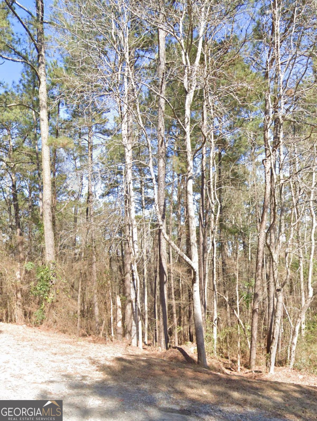 0 Tamarack Drive Property Photo