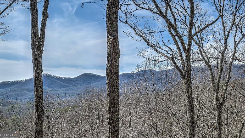 203 Chimney Rock Road # 467 Property Photo 5