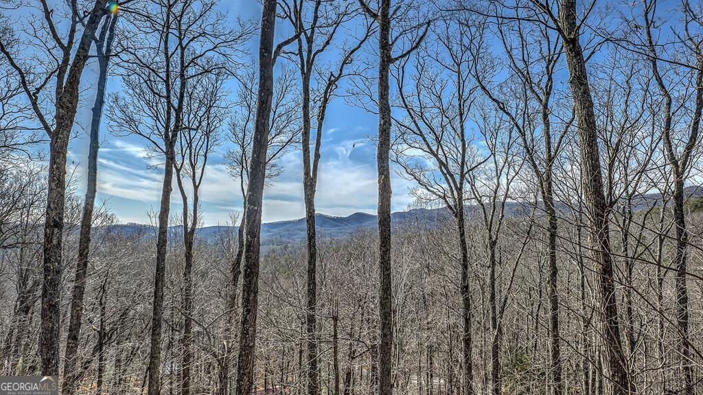 203 Chimney Rock Road # 467 Property Photo 16
