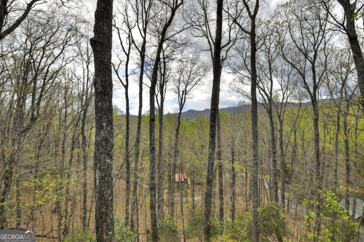 203 Chimney Rock Road # 467 Property Photo 17