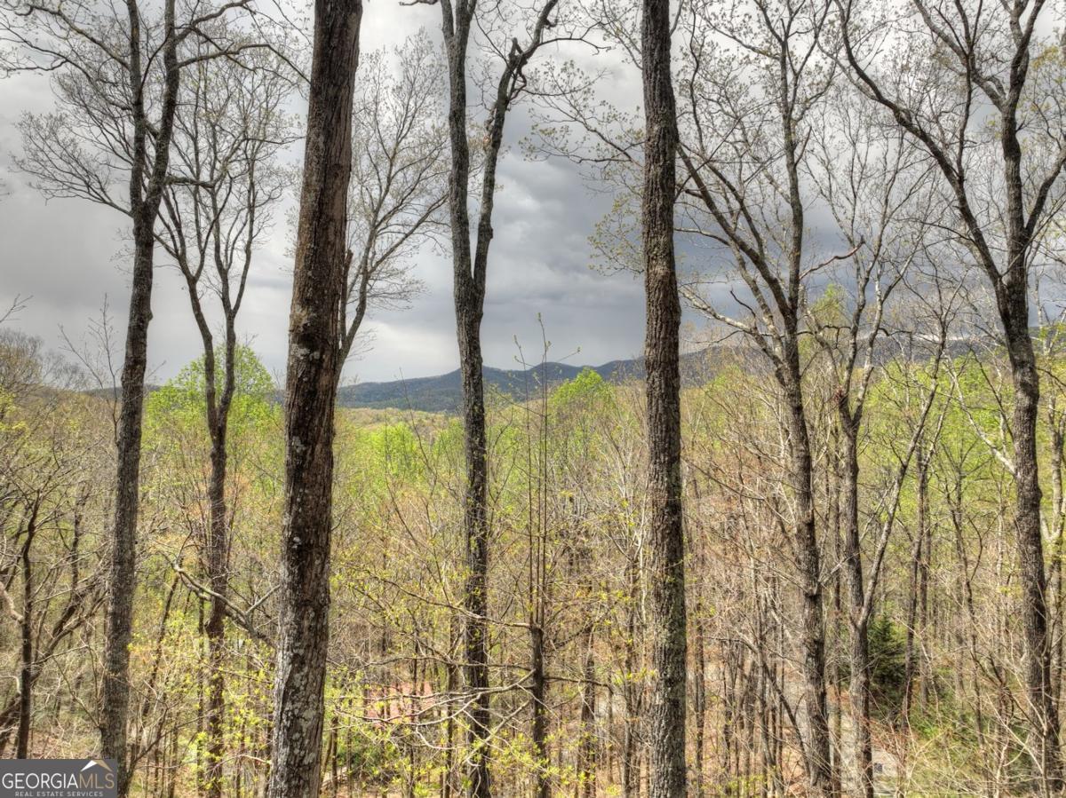 203 Chimney Rock Road # 467 Property Photo 18