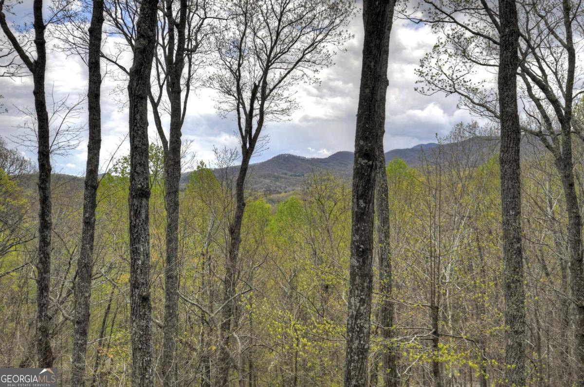 203 Chimney Rock Road # 467 Property Photo 49