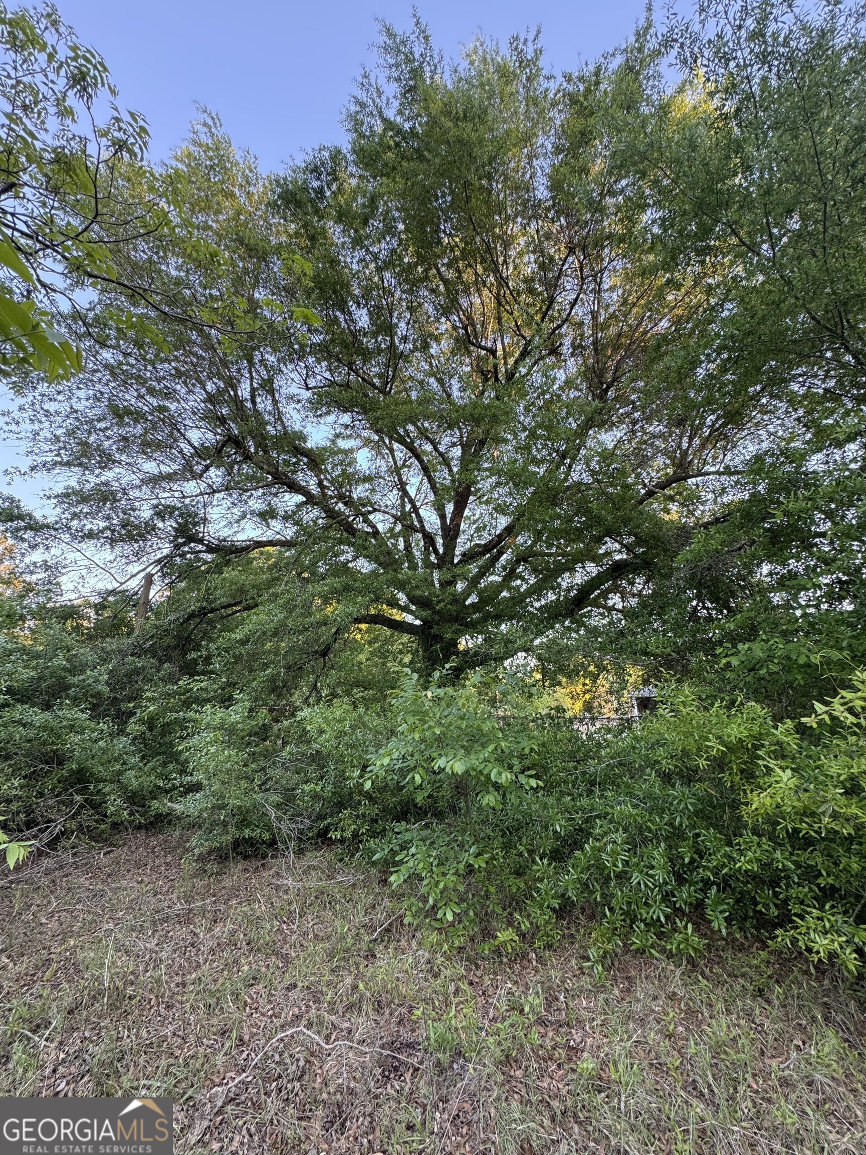 1045 Horseshoe Road Property Photo 1