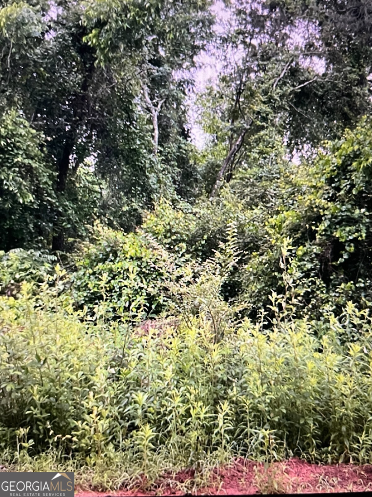0 Fernwood Drive Property Photo