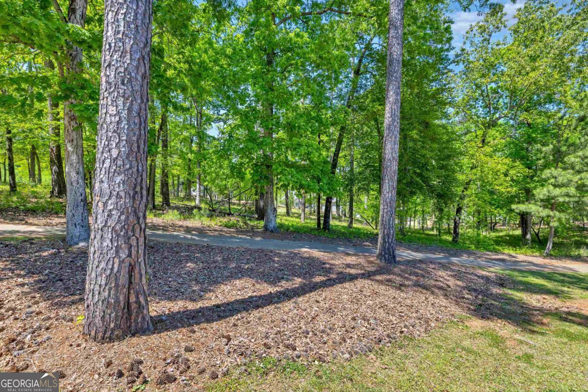 1080 Griffin Creek Property Photo