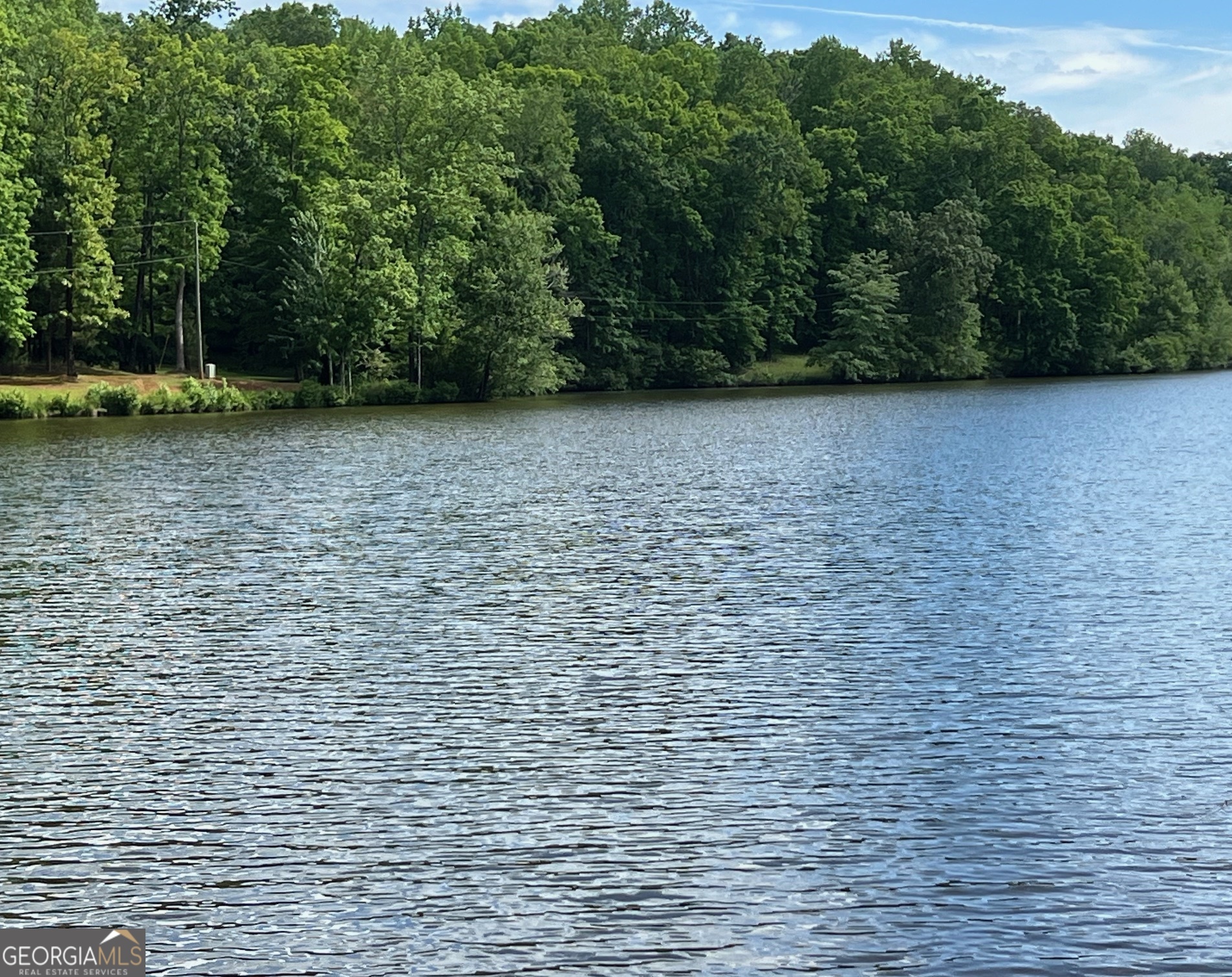 16.799+/- Acres Pierce Dairy Road Property Photo