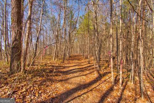 27.68 Chapman Ridge Lane Property Photo