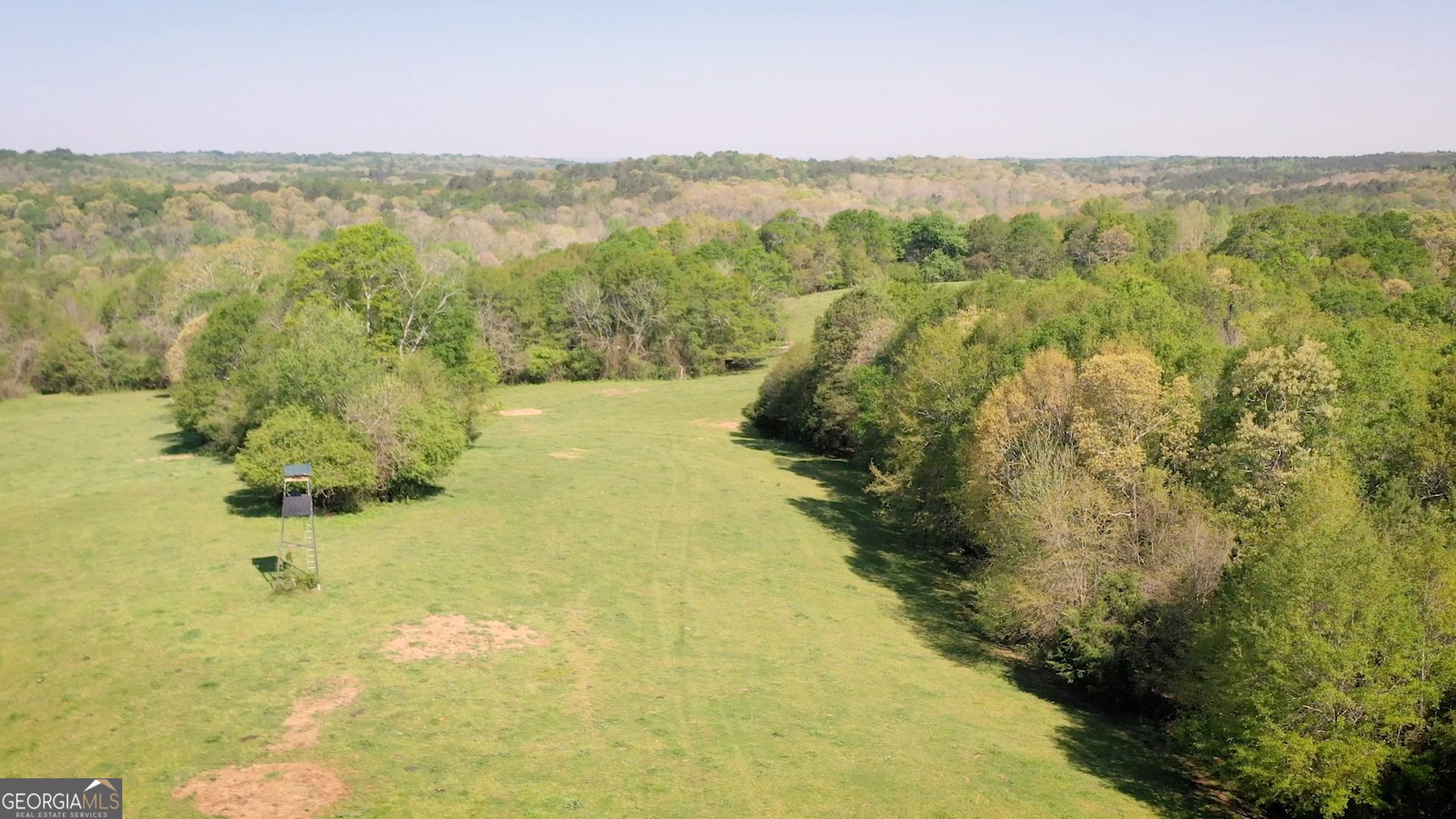 0 Ga. Highway 145 Property Photo 1