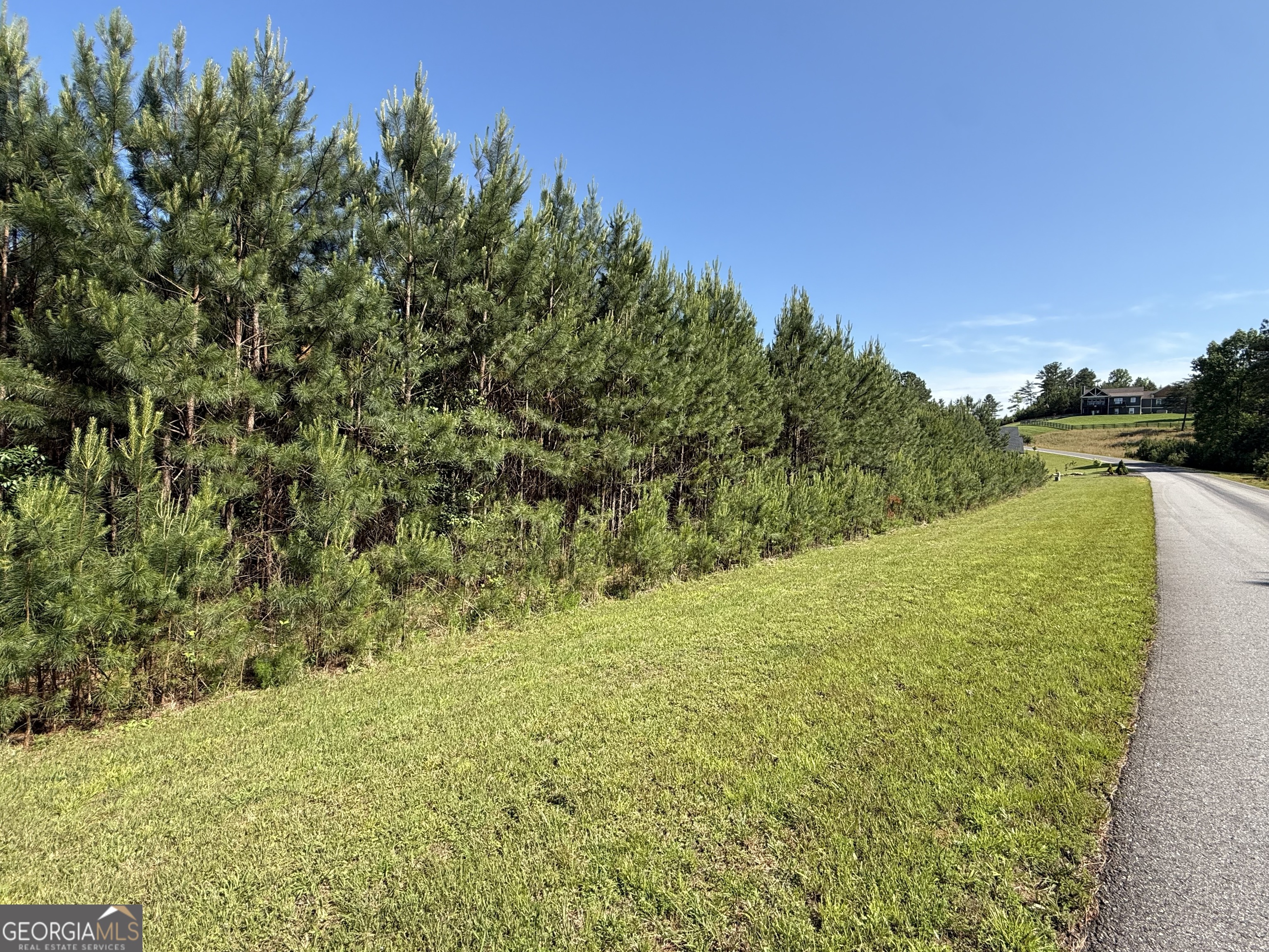 Lot 228 The Cove At Thirteen Hundred Property Photo 1