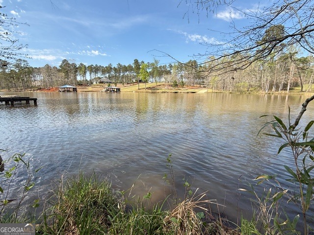 171 Bluegill Road Property Photo 1